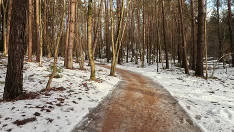 Aussichtspunkt:-Der-Baumwipfelpfadkomplex-Anyksciai-Laju-Takas,-Der-Anyksciai-Kiefernwald,-Der-Aussichtsturm-Und-Der-Fluss-Sventoji