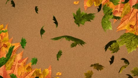 Animation-of-multiple-autumn-leaves-falling-on-brown-background
