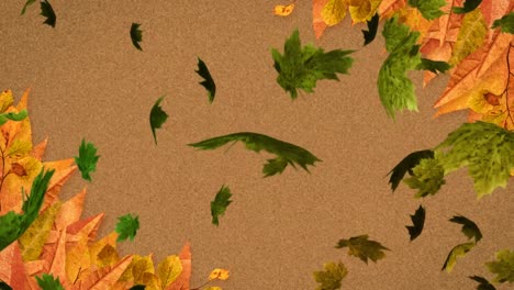 animación de varias hojas de otoño que caen sobre un fondo marrón