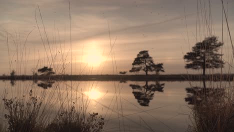 sunset reflection on a pond