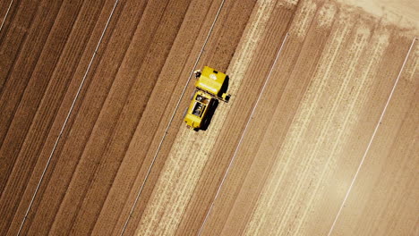 lento movimiento amplio drone alto pov directamente hacia abajo del campo de la granja de alcachofas y la máquina de deshierbe marco giratorio