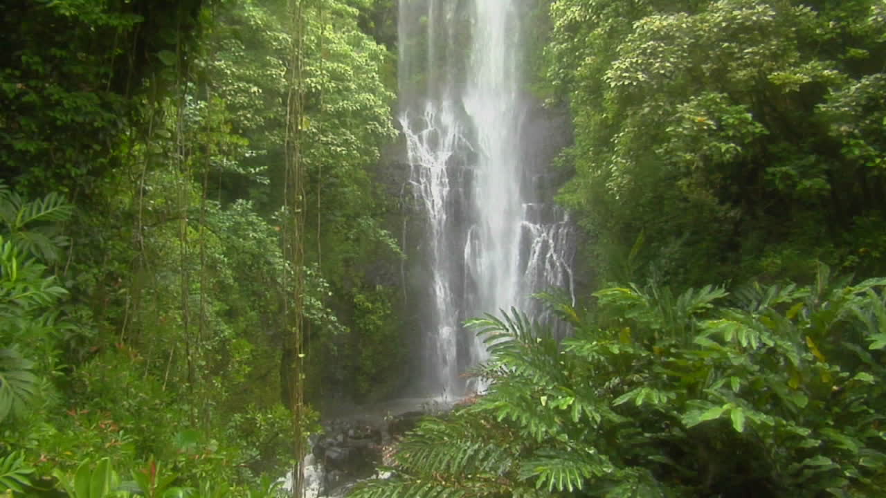 una cascada tropical fluye a través de una densa selva tropical en hawaii