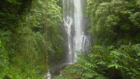 a tropical waterfall flows through a dense rainforest in hawaii