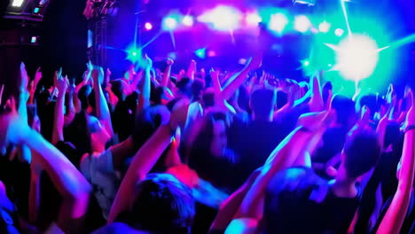 excited concert crowd
