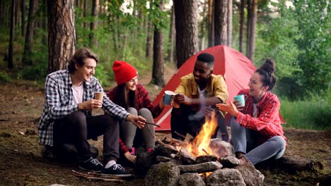 cinemagraph loop - multiracial group of friends caucasian and african american are sitting in wood around fire with glasses, talking and smiling, flame is moving.