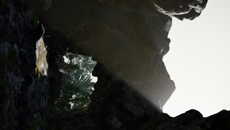 vertical shot of tropical cave at sunset