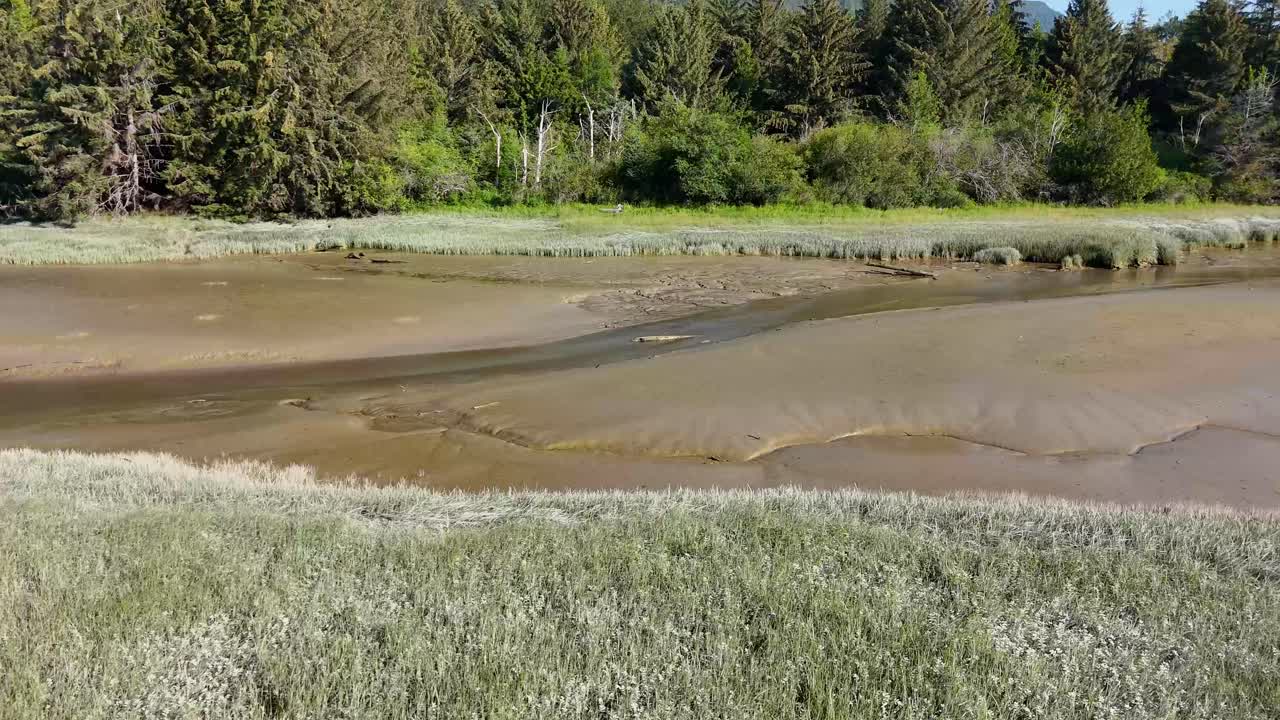 Squamish river estuary during low tide in South British Columbia, Canada