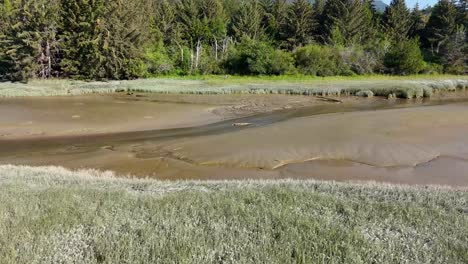 squamish river estuary during low tide in south british columbia, canada