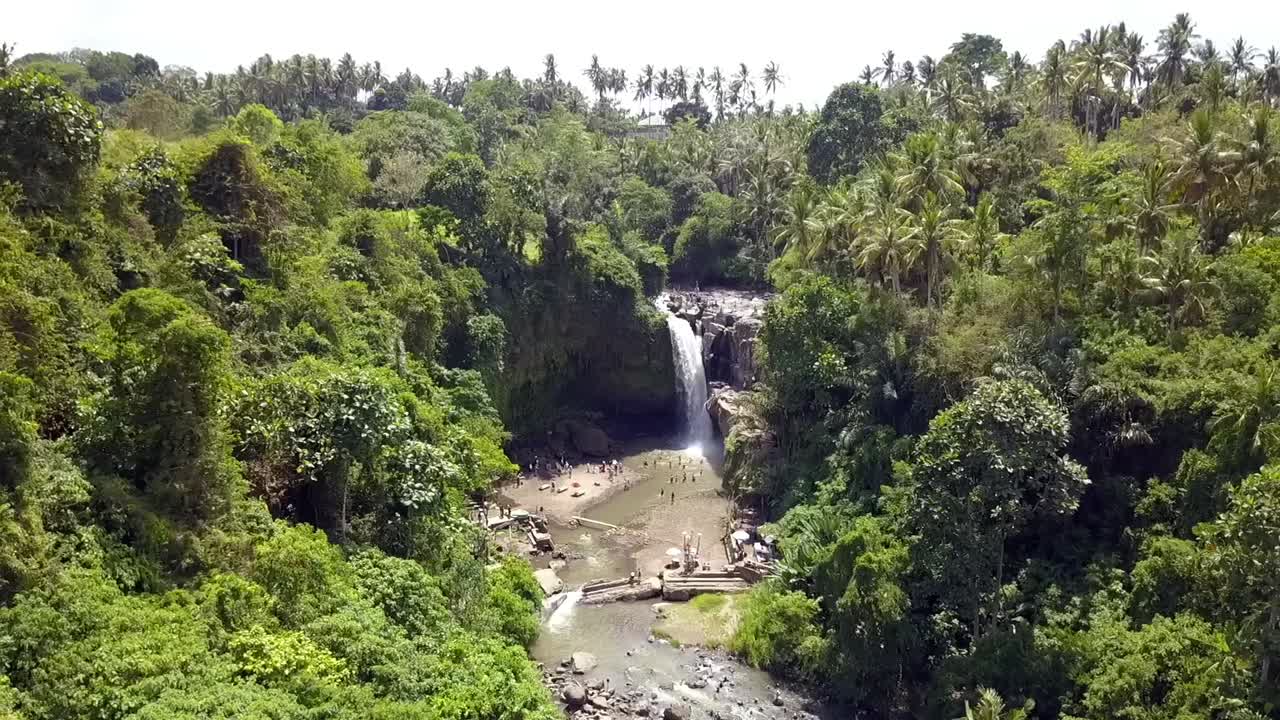 cascada de la selva de bali