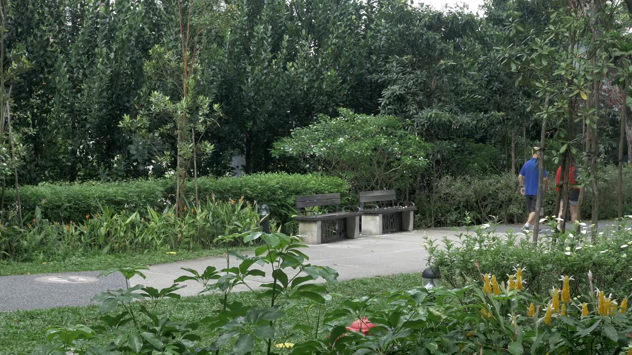 Pasangan Berjalan di Taman