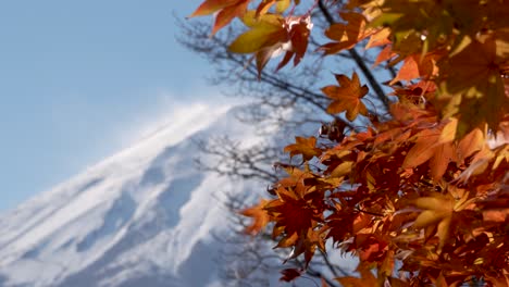 mount fuji with vibrant autumn leaves in the foreground and a clear blue sky background