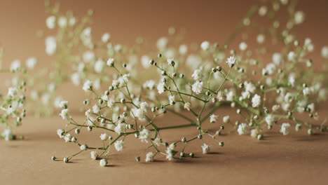 Video-of-multiple-white-flowers-and-copy-space-on-yellow-background