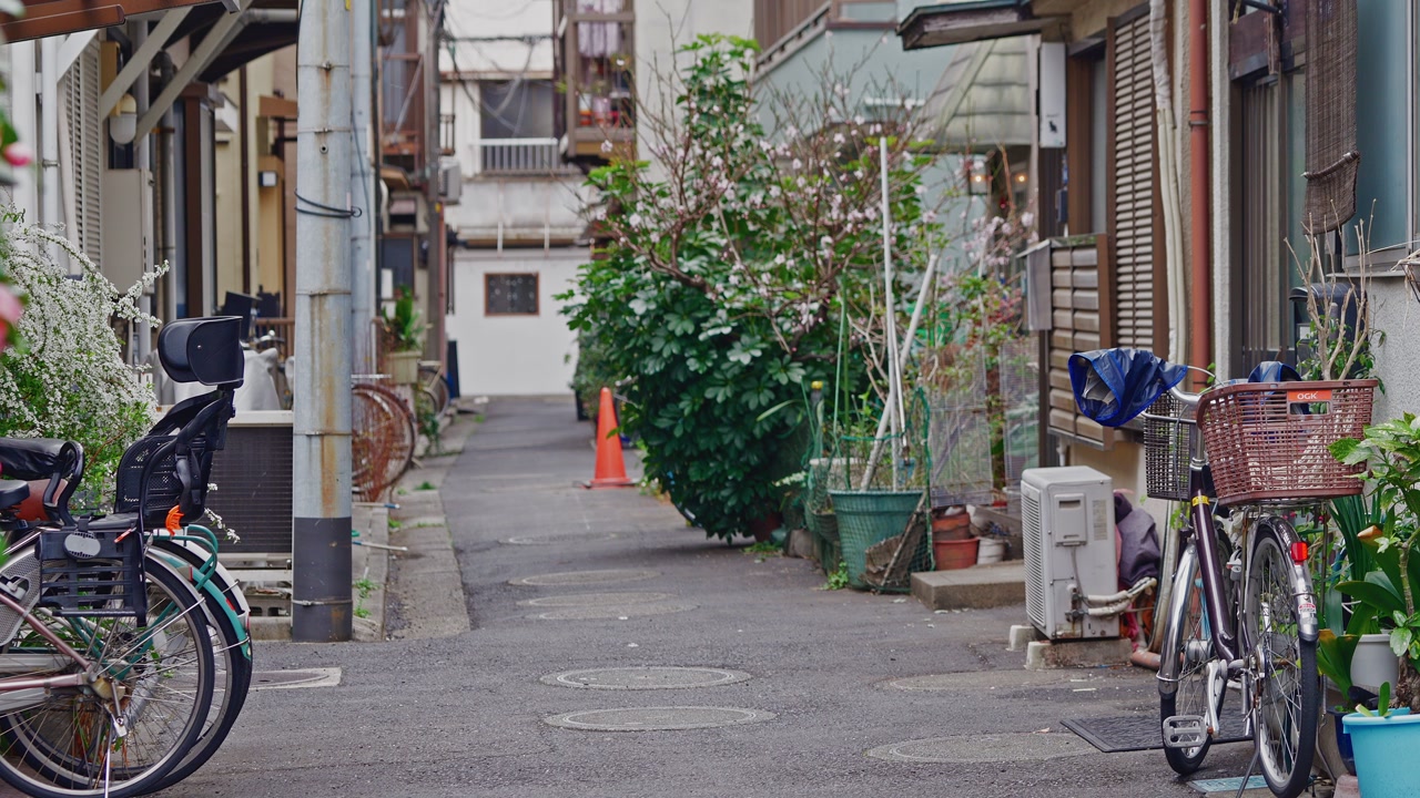 A peaceful suburban street scene featuring local houses, various plants, and bikes parked along a clean, quiet path in a city.