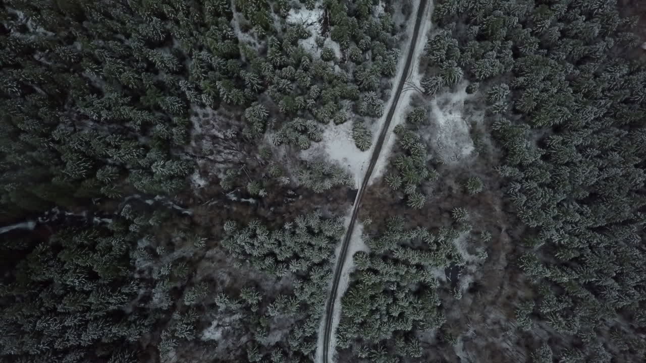 toma aérea de gran ángulo de una carretera en un bosque congelado, isla de vancouver, canadá