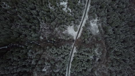 Toma-Aérea-De-Alto-ángulo-De-La-Carretera-En-Un-Bosque-Congelado,-Isla-De-Vancouver,-Canadá