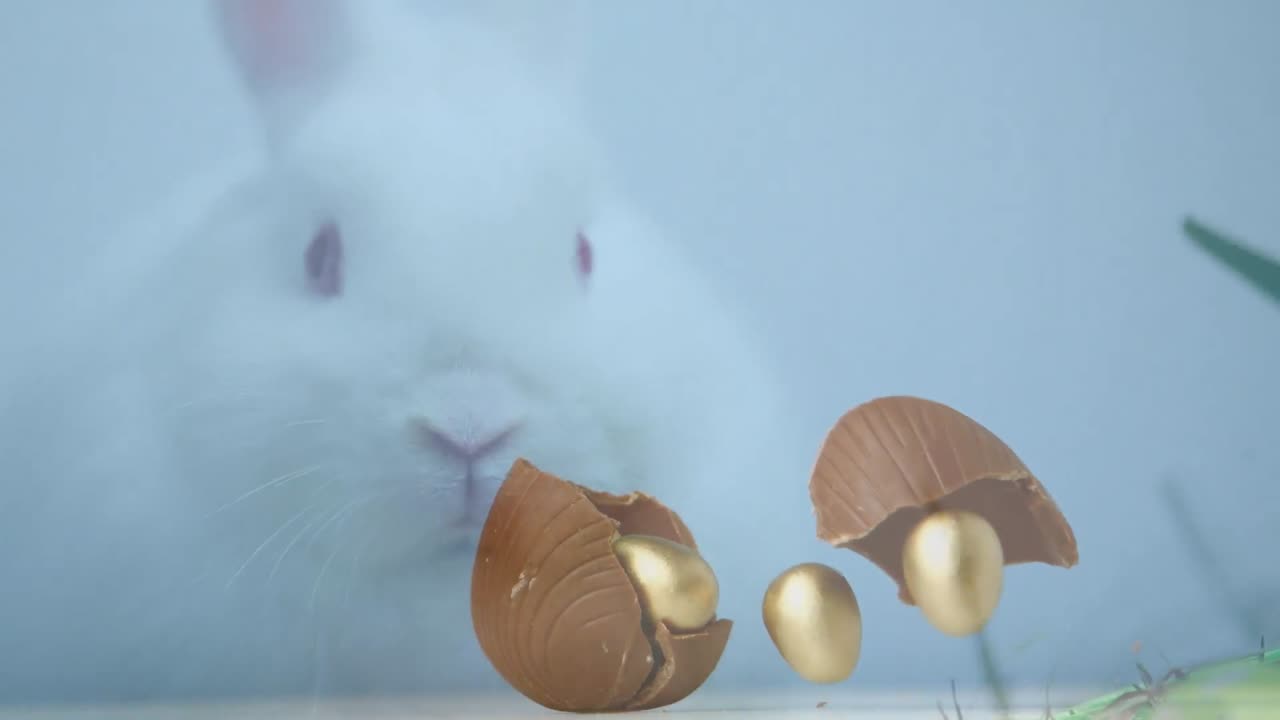 Composite video of easter egg falling and breaking against easter bunny in background