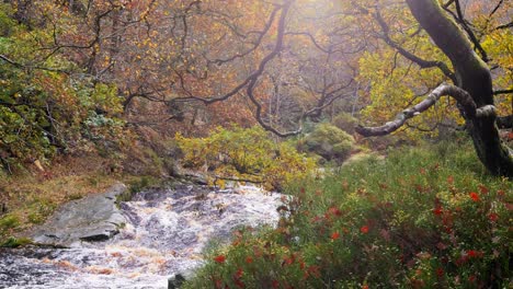 peaceful and relaxing autumn-winter forest with a slow stream, golden oaks, and fallen leaves in the serene landscape