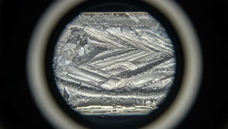 intricate patterns of frozen crystals captured under magnification: a stunning exploration of nature's beautiful symmetry and formation at the microscopic level