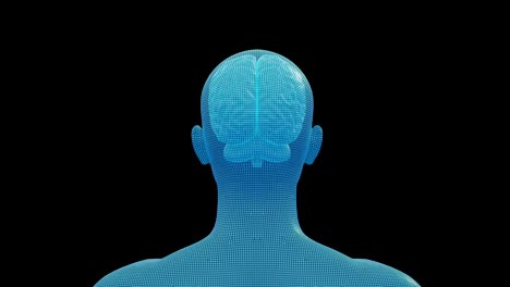 cerebro, cabeza humana masculina, bucle sin costuras