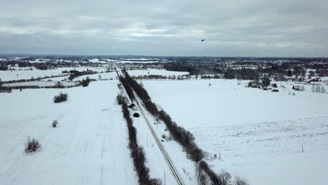 Slowly-flying-forward-over-the-snowy-road-with-no-traffic-in-the-middle-of-birch-alley-on-a-cloudy-day-in-a-winter-with-snowy-cityscape-in-distance---black-bird-flying-through-the-frame-from-right