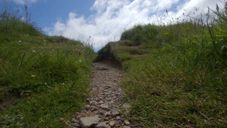 rocky path through grassy hills