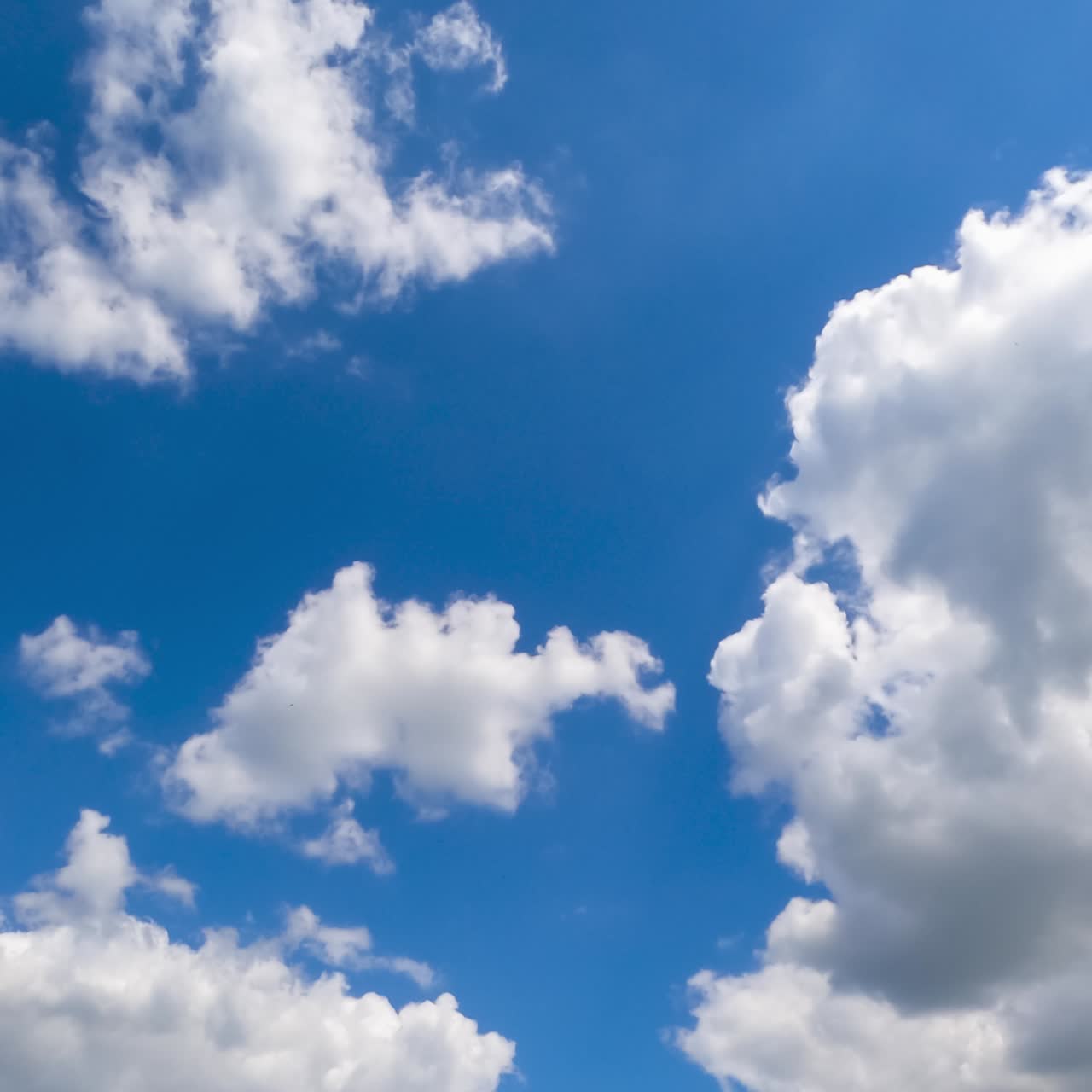 White light soft clouds flying in the sky. Sunny day background. Low angle view. Timelapse