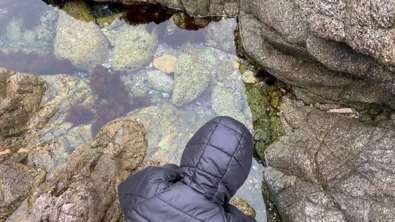 niño explorando una piscina de marea oceánica en el parque estatal garrapata, en la costa de monterey, california