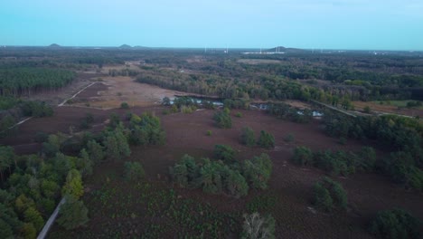 Waldlandschaft-Mit-Entwaldeten-Grundstücken,-Luftdrohnenansicht