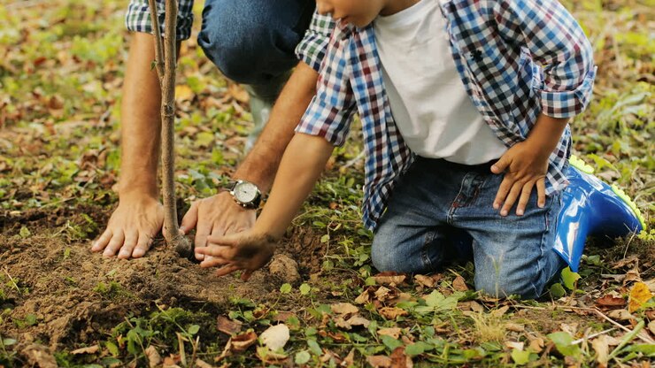 Closeup. Portrait of a little boy and his dad planting a tree. They press the soil with their hands. Blurred background