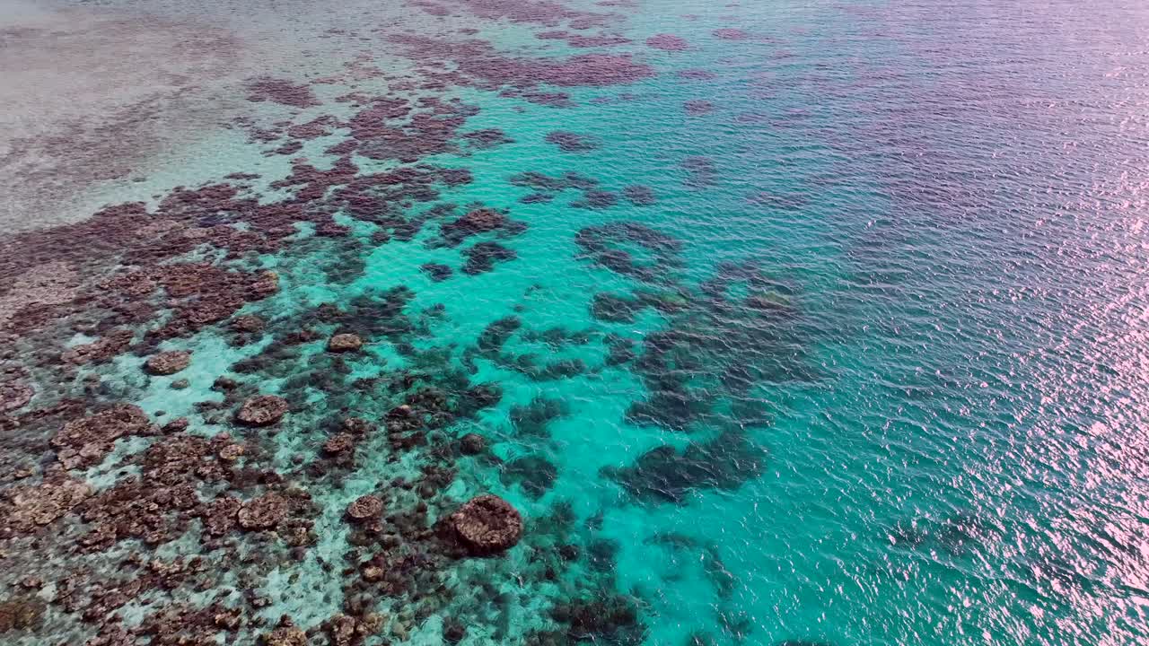 impresionante arrecife de coral en el agua azul del océano en las filipinas