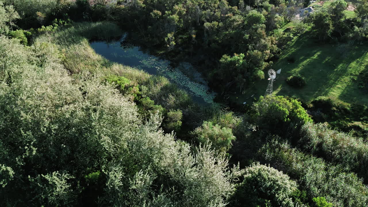 아름다운 연못과 풍력 펌프가 있는 프란슈후크에 있는 남아프리카 농장 위로 드론 비행