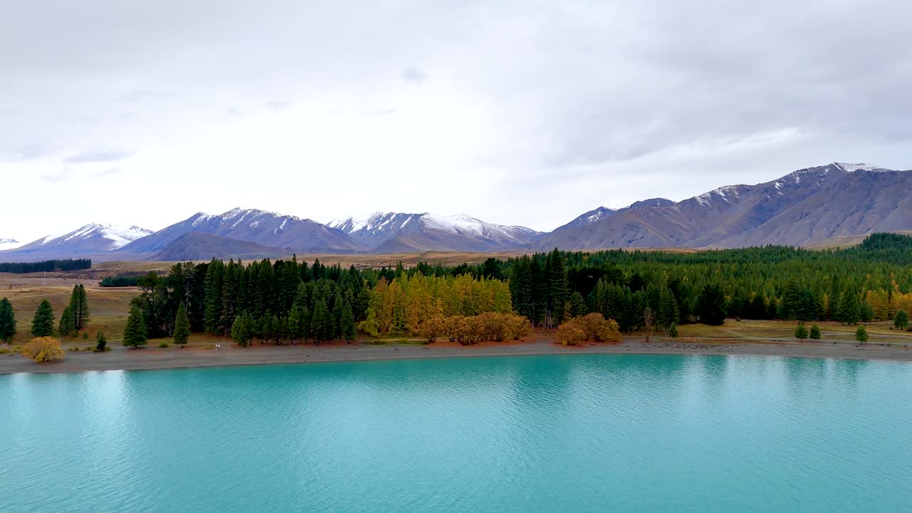 A tranquil view of Lake Tekapo with turquoise waters, surrounded by pine forests and distant snow-capped mountains under overcast skies
