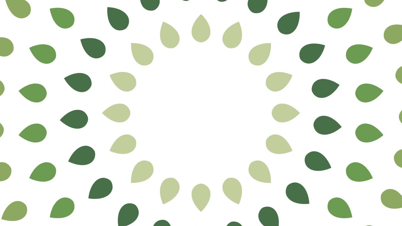 las hojas verdes giran sobre un fondo blanco. concepto de ecología telón de fondo animado