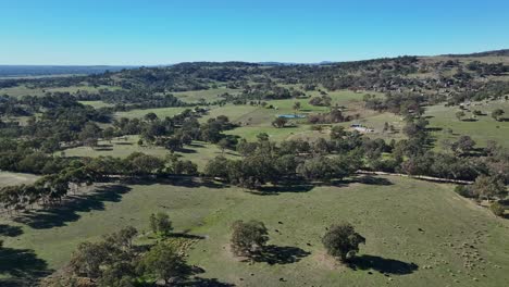 Green-farmland-with-dams-and-rocky-outcrops-in-paddocks-near-Euroa-in-Victoria