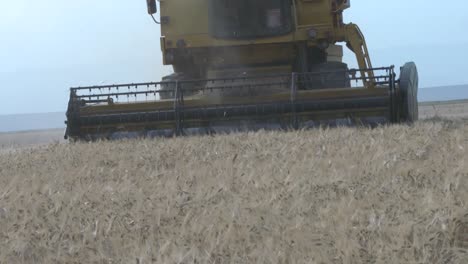 harvesting the product by the combine on the farm