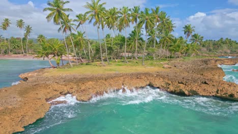 rocky outcrop with palms on coastline of playa los coquitos, caribbean