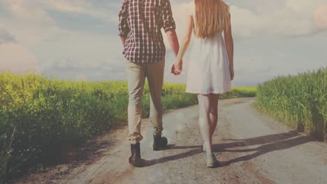 Multiple-light-spots-floating-against-rear-view-of-caucasian-couple-holding-hands-walking