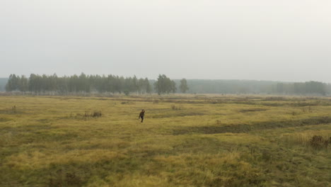 dokumentarfilmer mit einer kamera erkundet ein nebliges moorland, herbst, tschechien