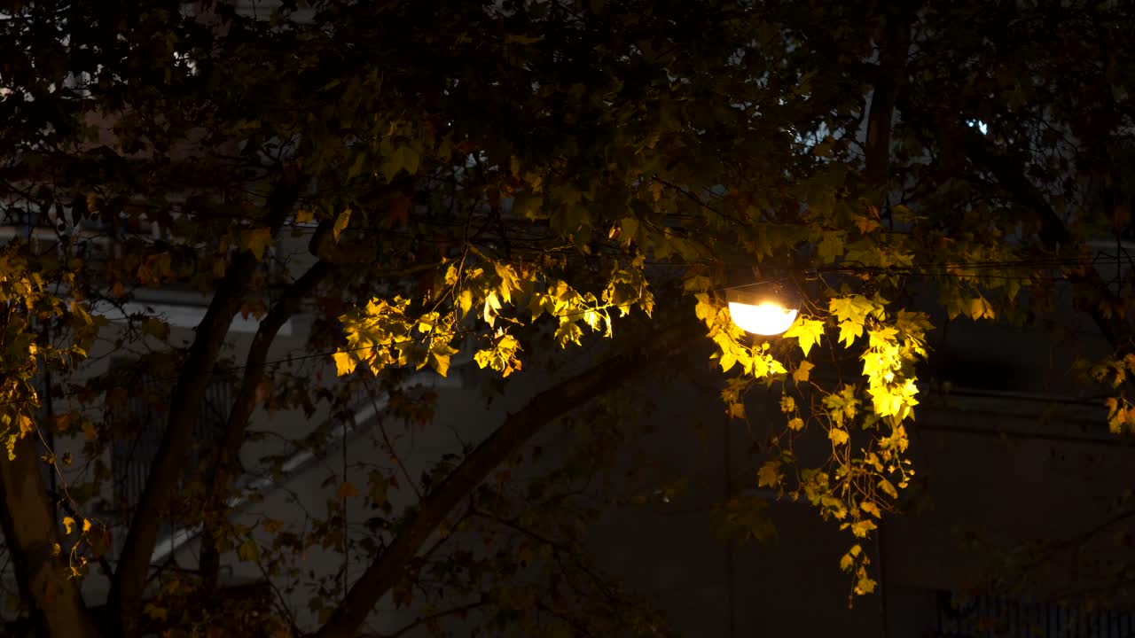 luces de la ciudad de otoño