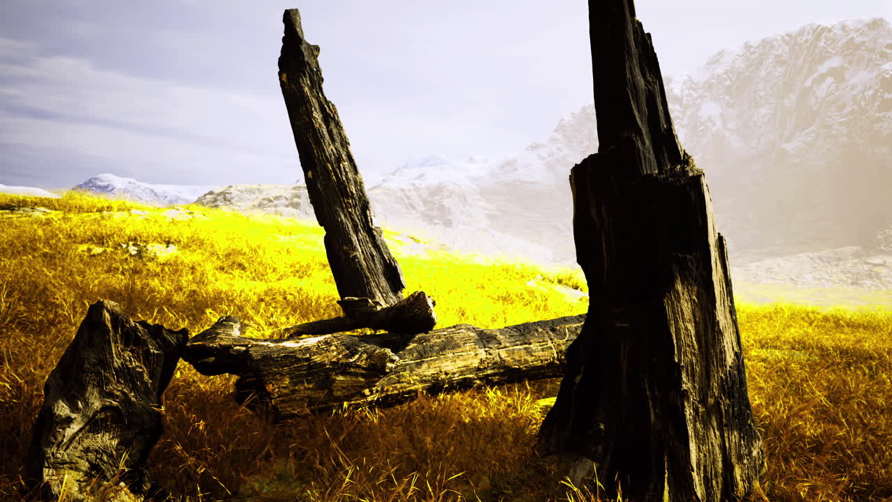 Ancient wooden remnants in vibrant golden grasslands under a bright sky