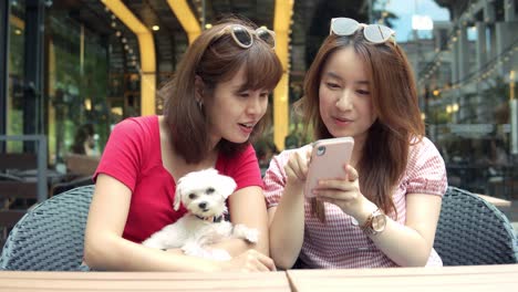 beautiful asian girl chatting with friends at lunch time