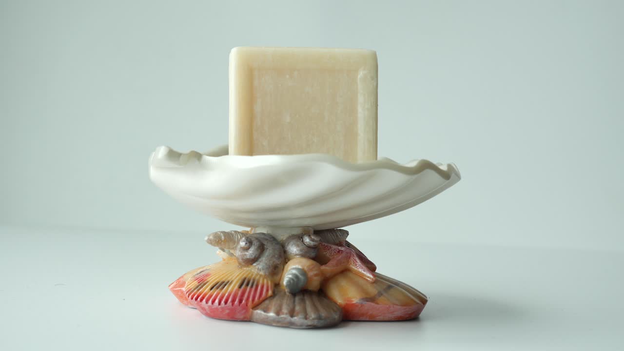 비누 어리 를 가진 장식적 인 해조류 비누 접시