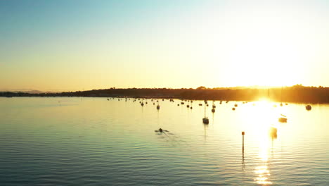 scenic aerial sunset shot above rowing coxless crews in auckland port