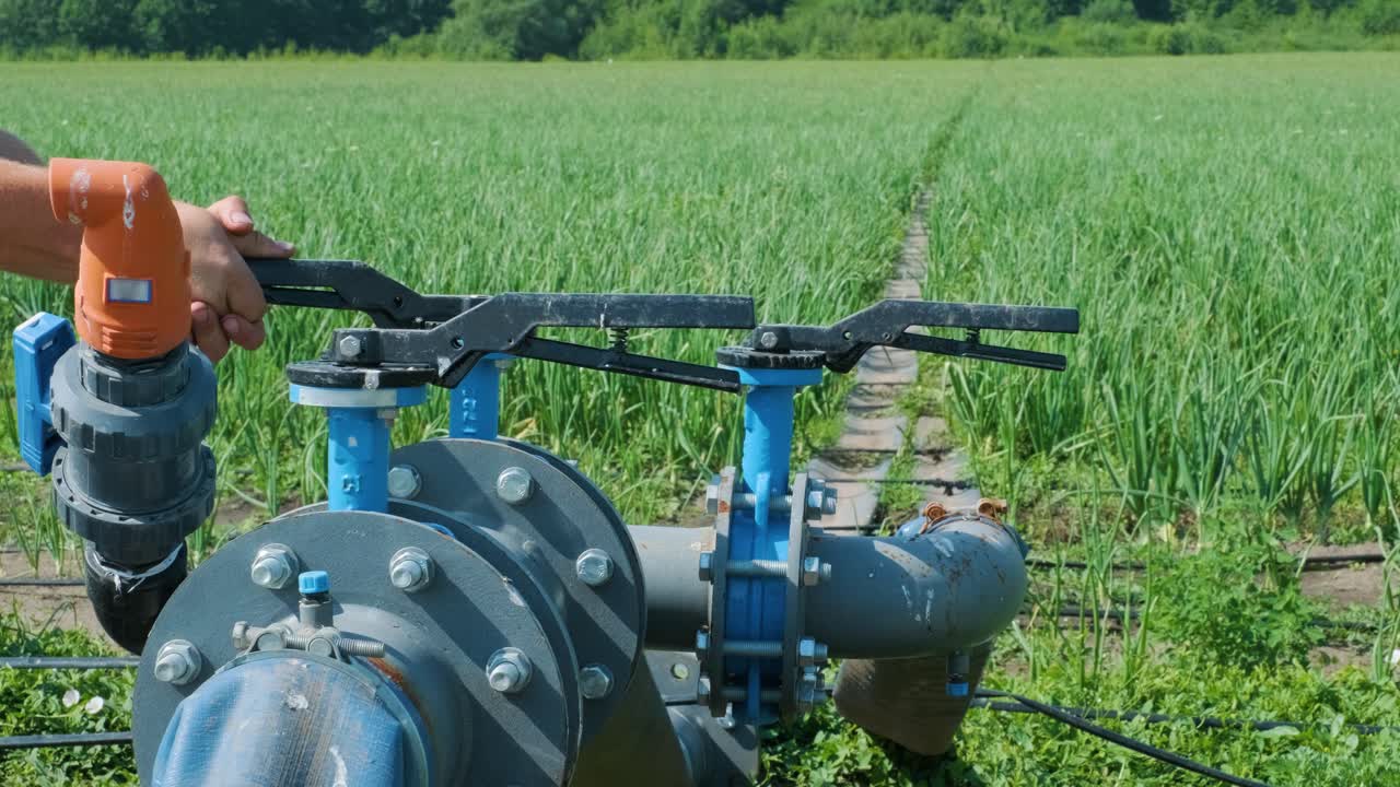 система капельного орошения. сберегающая воду система капельного орощения, используемая в молодом поле моркови. рабочий открывает кран.