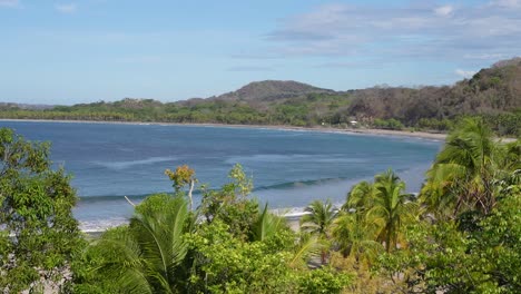 palm trees at carillo beach in costa rica with soft waves on sandy shore, aerial hovering shot