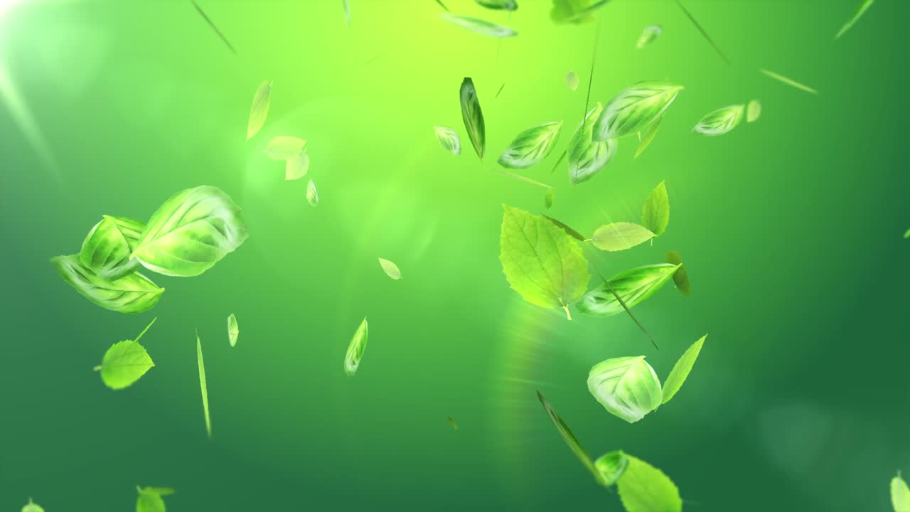 Premium stock video - Fresh green leaves on summer background