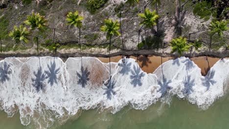 coqueirinho beach at joao pessoa in paraiba brazil