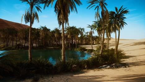 Oasis-Con-Palmeras-En-El-Desierto