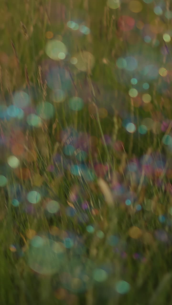 A serene scene featuring colorful bubbles floating in the air above a grassy field. The bubbles create a dreamy, blurred effect that adds a magical and whimsical touch to the natural landscape