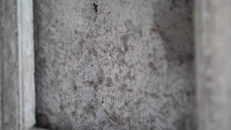 A-close-up-shot-of-an-old-and-dirty-wooden-frame-inside-a-creepy-and-abandoned-house